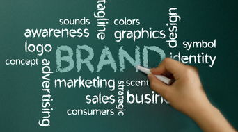 商標注冊代理具體流程