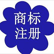 專利各種加急以及疑難訴訟處理